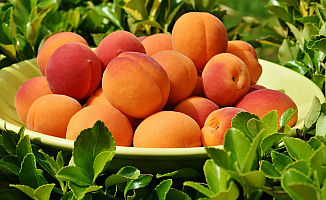 Yaz Aylarının Meyvesi Kayısı'nın Vücudumuza 4 faydası