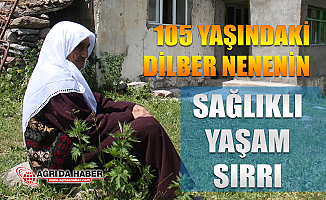 Ağrı'da 105 Yaşındaki Dilber Ninenin Sırrı: Doğal Beslenme