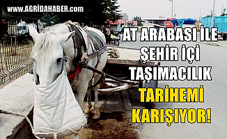 Ağrı'da At Arabacılık Mesleği Yok olmak üzere