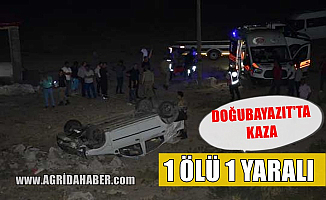 Ağrı Doğubayazıt'ta Otomobil Şarampole Uçtu! 1 Ölü 1 Yaralı