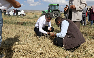 Ağrı İl Tarım ve Orman Müdürlüğü Tarla Günü Etkinliği