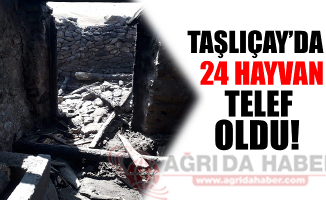 Taşlıçay'da 24 Hayvan Telef Oldu!