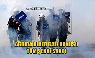 Ağrı Merkezde Şehri Saran  Biber Gazı Panik yarattı