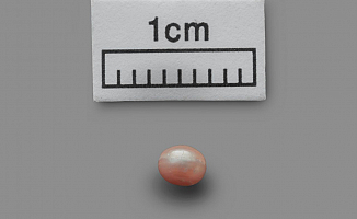 En eski ve Doğal İnci Bulundu