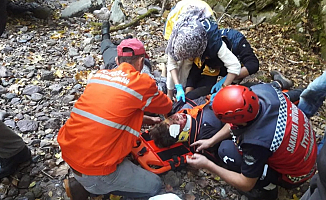 Kestane Toplarken uçuruma düştüler!