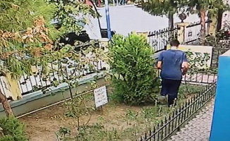 Yavru Kediyi Tekmeleyerek Öldürdü!