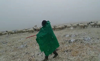 Ağrı Diyadin'de kar yağışı etkili olmaya başladı
