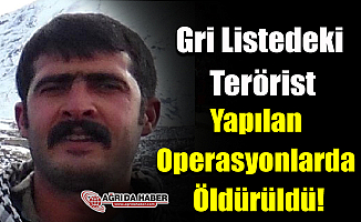 Gri Listede Aranan Terörist Yapılan Operasyonlarda Öldürüldü!