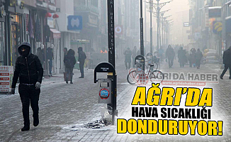 Ağrı'da Dondurucu Soğuk Devam Ediyor!