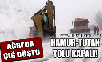 Ağrı'da çığ düştü Hamur-Tutak yolu kapandı