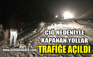 Ağrı'da düşen çığ nedeniyle kapanan yol trafiğe açıldı
