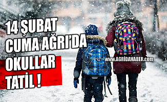 Ağrı'da Kar Tatili Uzatıldı 14 Şubat Cuma Okullar Tatil