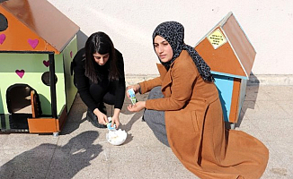 Ağrı'daki Üniversite öğrencilerinden örnek davranış