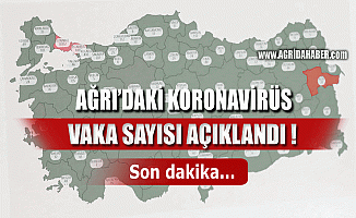 Ağrı'da Koronavirüs Vaka Sayısı Açıklandı! İşte İl İl Vaka Sayıları