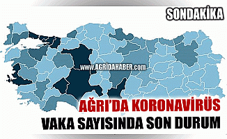 Ağrı'da koronavirüs Vaka Sayısı Arttı! İşte Türkiye İllere göre Vaka Sayıları