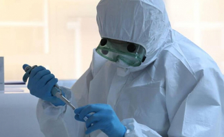 Hong Kong’lu bilim insanları: Korona Virus temmuza kadar sürebilir