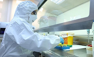 Koronavirüs Mutasyona Uğradı! Artık Daha Tehlikeli