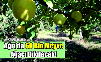 Ağrı'da 60 Bin Meyve Ağacı Dikilecek!