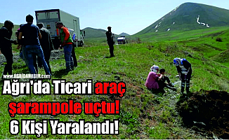 Ağrı'da Ticari araç şarampole uçtu! 6 Kişi Yaralandı!