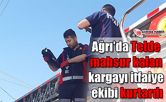 Ağrı'da Telde mahsur kalan kargayı itfaiye ekibi kurtardı