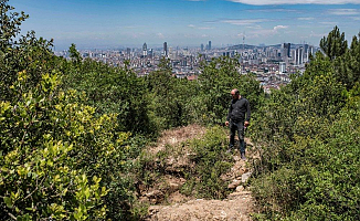 Çakarlı define avcıları yakalandı!