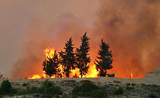 Adana'da orman yangını! 6 köy ve boşaltıldı