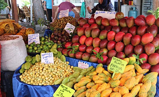 Antalya'da Yetişiyor! Fiyatı dudak uçuklattı