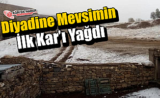 Ağrı Diyadin'e Mevsimin İlk Karı Yağdı