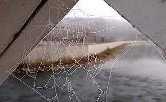 Soğuk Örümcek Ağlarından Belli Oldu!