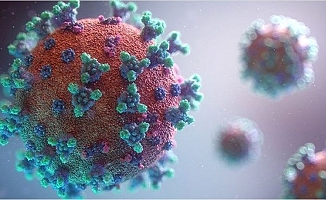 ABD'de Yeni Mutasyonlu Koronavirüs Tespit Edildi