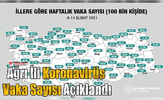 Ağrı İli Koronavirüs Vaka Sayısı Açıklandı