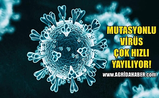 Mutasyonlu virüs çok hızlı yayılıyor! 33 İlde görüldü