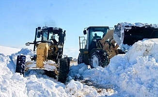 Ağrı'da Bahar Ayında Karla zorlu Mücadele Devam Ediyor