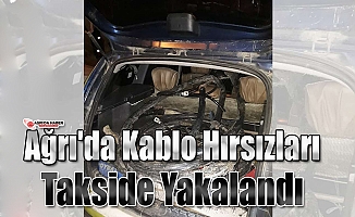 Ağrı'da Kablo Hırsızları Takside Yakalandı
