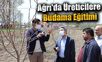 Ağrı'da Üreticilere Budama Eğitimi