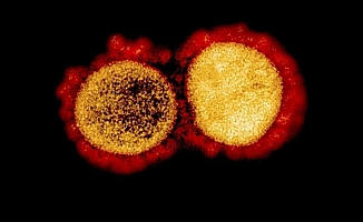 Çift Mutant Koronavirüs ABD'ye Sıçradı