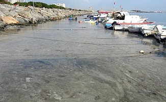 Denizde Korkutan Görüntülerin Sebebi Belli Oldu