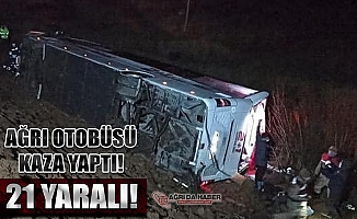Ağrı'dan İstanbul'a Giden Yolcu Otobüs Devrildi 21 Yaralı