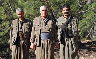 Kırmızı bülten İle Aranan PKK'lı Öldürüldü
