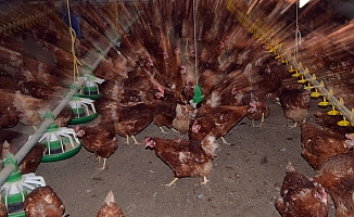 Memleketine yüzbinlerce liralık yatırım yaptı