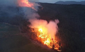 Muğla'daki Yangında Sabotaj İddiası