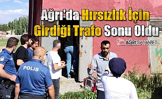 Ağrı'da Hırsızlık İçin Girdiği Trafo Sonu Oldu