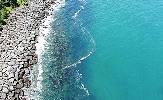 Trabzon Sürmene'de Kıyılardaki Müsilaj Edişesi Giderildi!