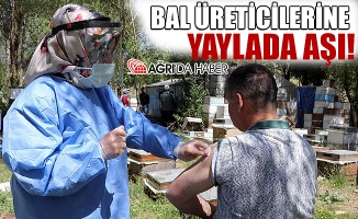 Yayla'da Çalışan Bal Üreticilerine Aşı Hizmeti Veriliyor