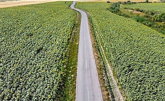 Ağrı'da tarımla birlikte istihdamda arttı