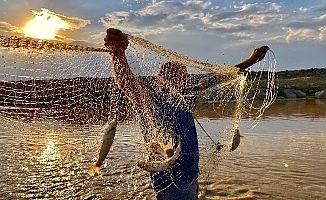 Ağrı'nın Murat Nehri'nde Balık Avı