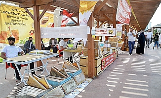 Ağrı'da 4'üncü Geleneksel Bal Festivali başladı