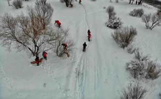 Ağrı'da yaban hayvanlar unutulmadı