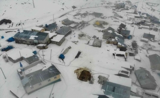 Ağrı'da evler kar altında kaldı!