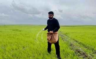 Ağrı'da çiftçiler gübreleme yapmaya başladı